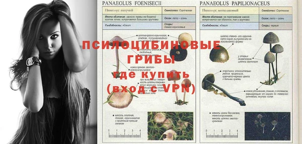 хмурый Беломорск