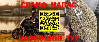прущие крисы Кимры