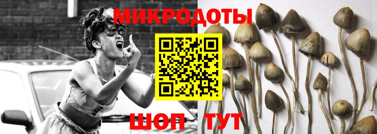 как найти наркотики  Галлюциногенные грибы Psilocybine cubensis  Вход с VPN  Галлюциногенные грибы ЛСД  Надым 